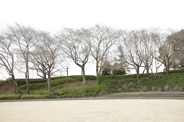 城址公園 03.20 城址公園 03.20