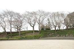 城址公園 03.20