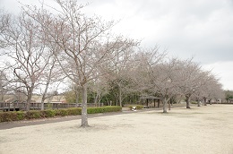 蓼沼親水公園 03.20 蓼沼親水公園 03.20
