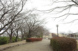 しらさぎ公園 03.20