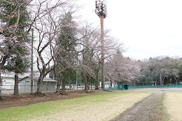 富士山公園 03.22 (2)