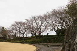 城址公園 03.22 (2) 城址公園 03.22 (2)