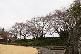 城址公園 03.22 (2)