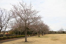 蓼沼親水公園 03.22 (2)