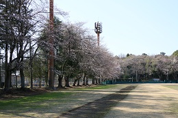 富士山公園 03.23 (2) 富士山公園 03.23 (2)