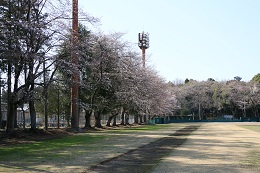 富士山公園 03.23 (2)