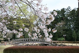 しらさぎ公園 03.29 (2) しらさぎ公園 03.29 (2)