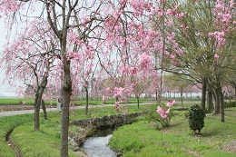 水環境神主公園 03.30 (2) 水環境神主公園 03.30 (2)