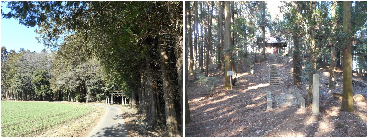 11.浅間神社