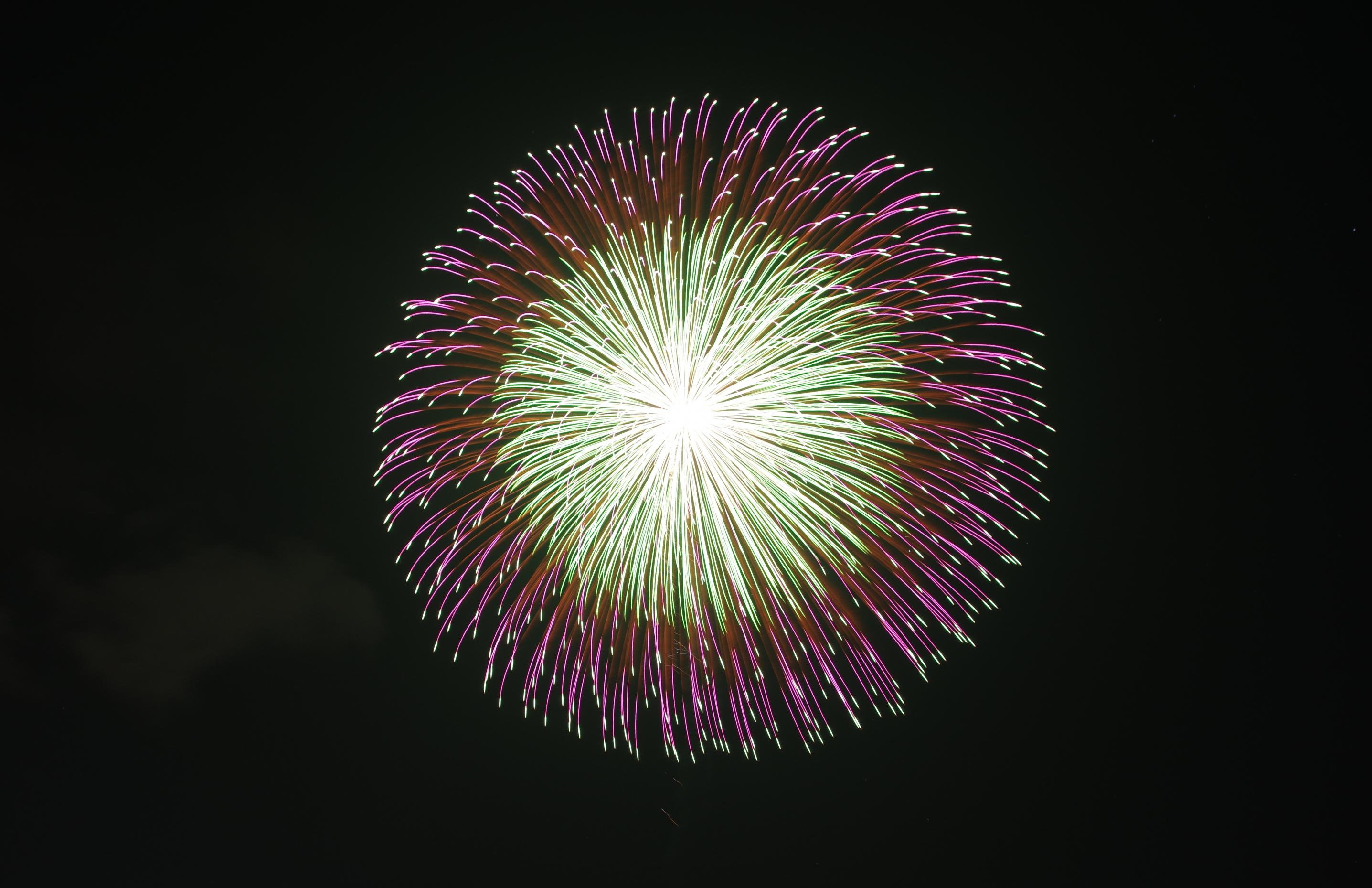 花火フェスタ 花火フェスタ