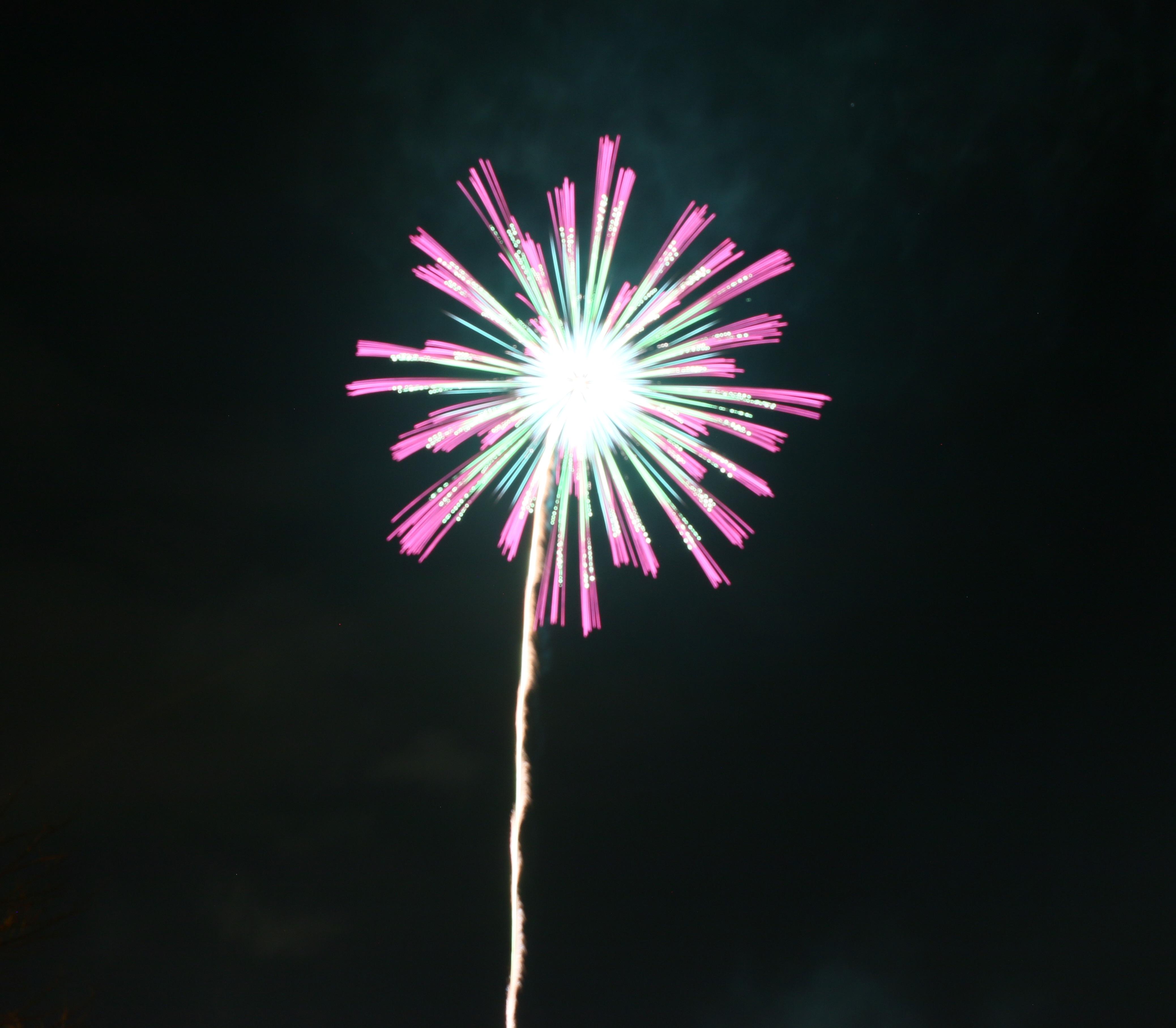 花火フェスタ 花火フェスタ