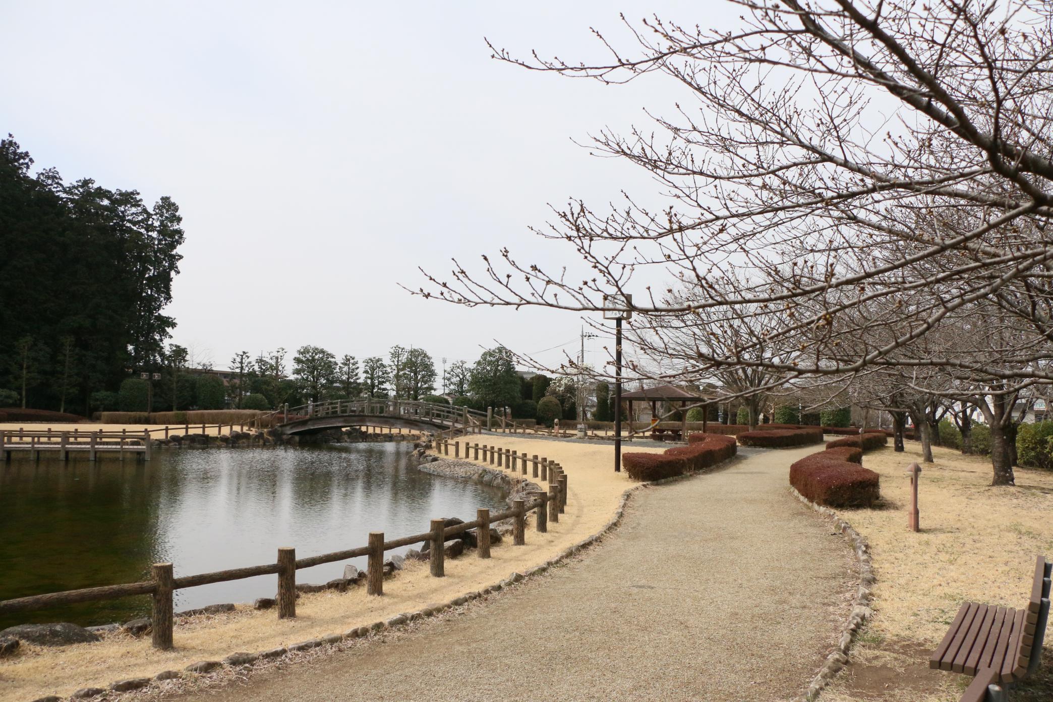 しらさぎ公園3.17 しらさぎ公園3.17