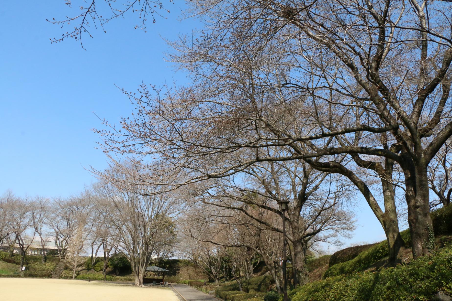 城址(3)0324 城址(3)0324