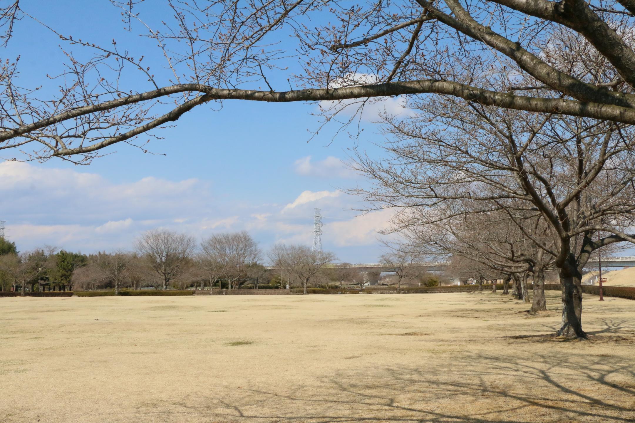 蓼沼親水公園 03.14