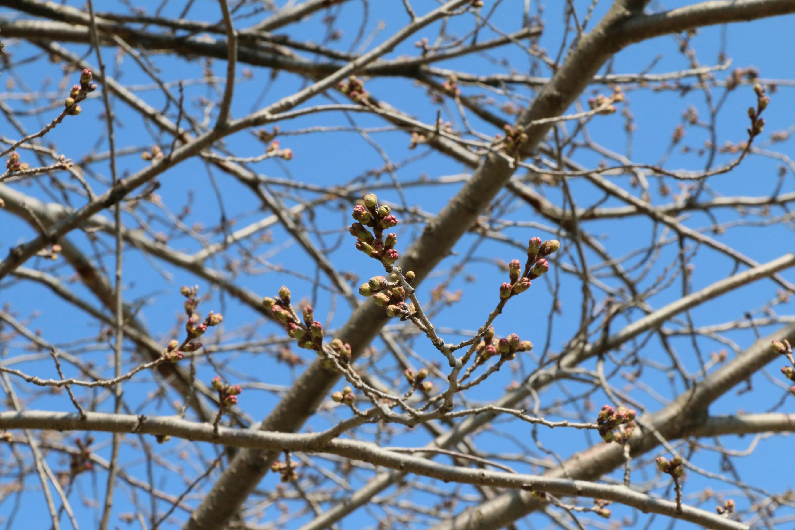 蓼沼親水公園 03.14