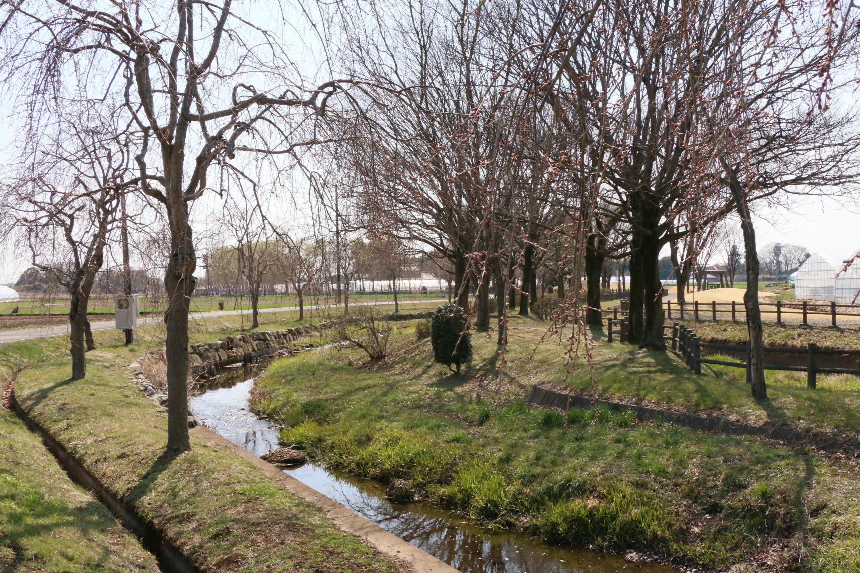 水環境神主公園 03.26 (1)