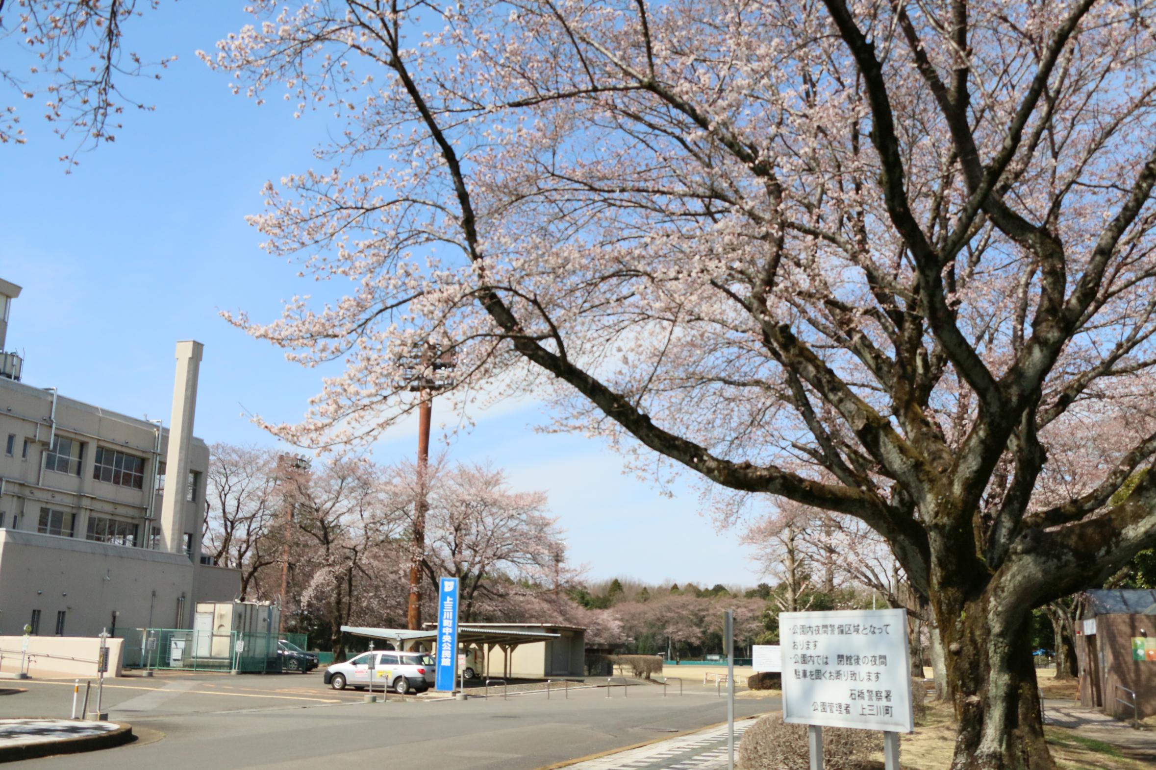 富士山(1)