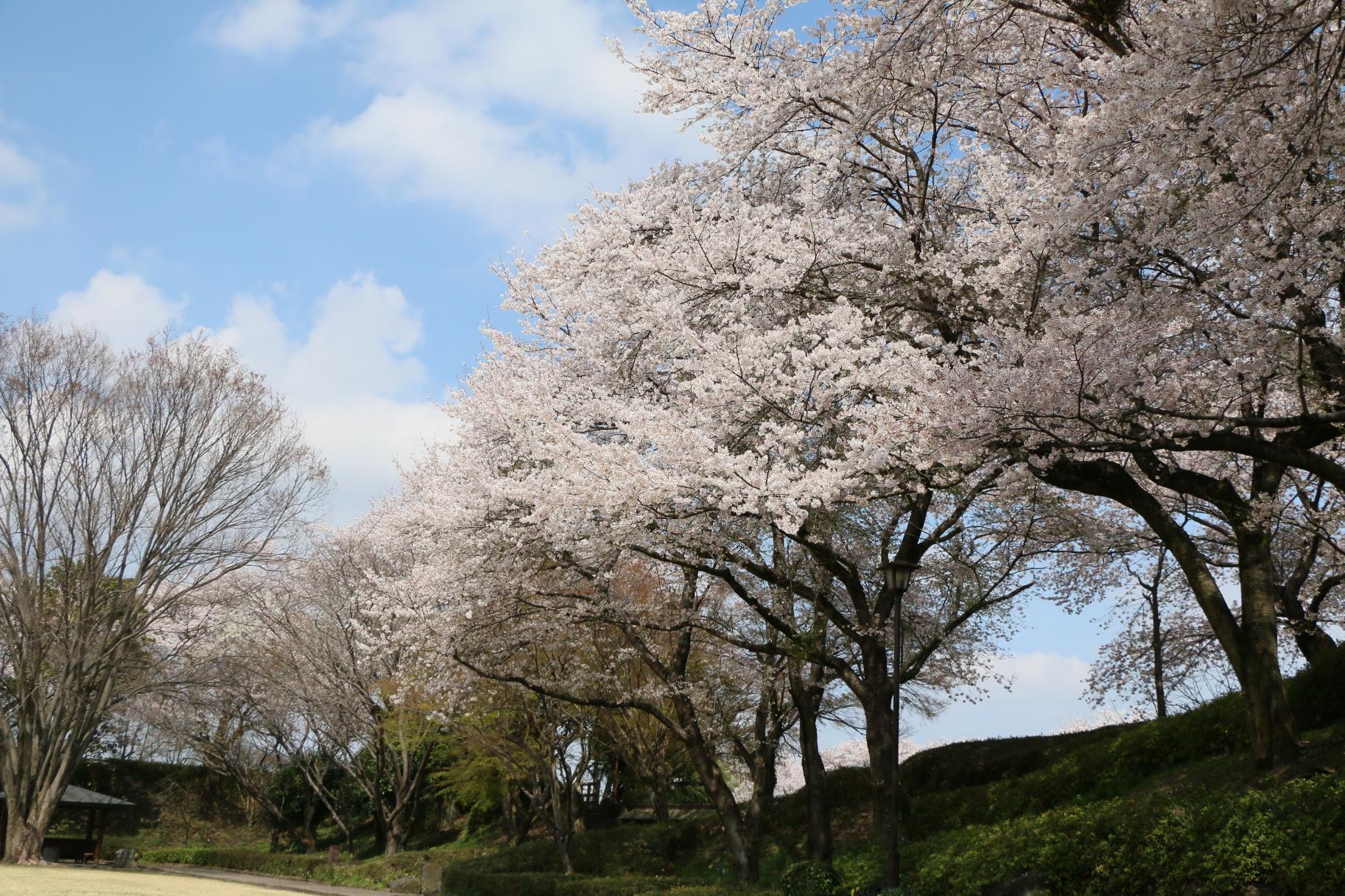 城址公園