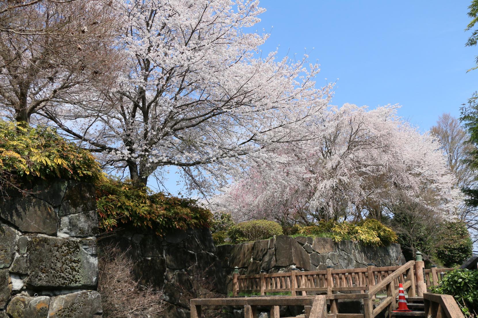 城址公園