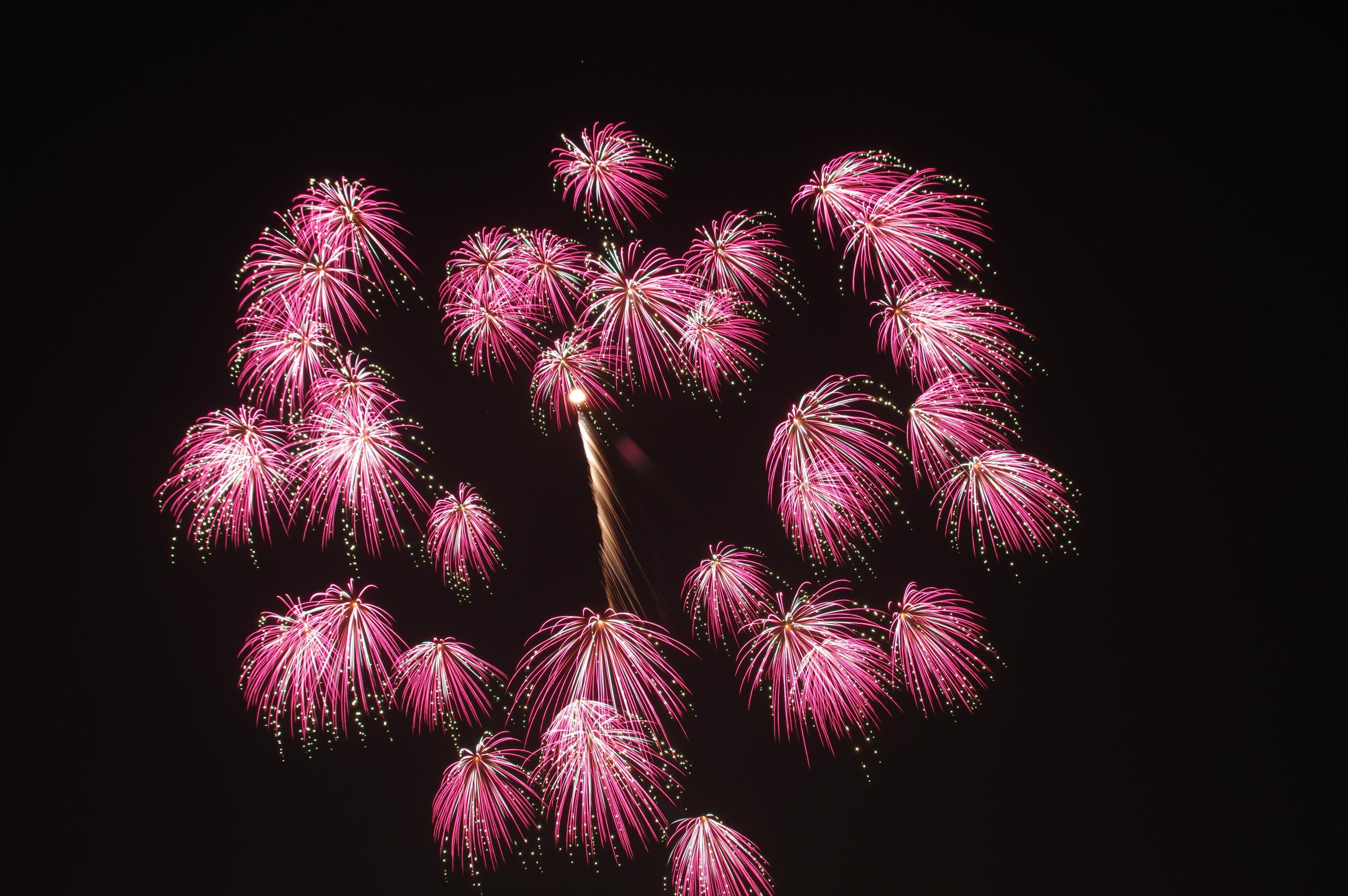 花火フェスタ 花火フェスタ
