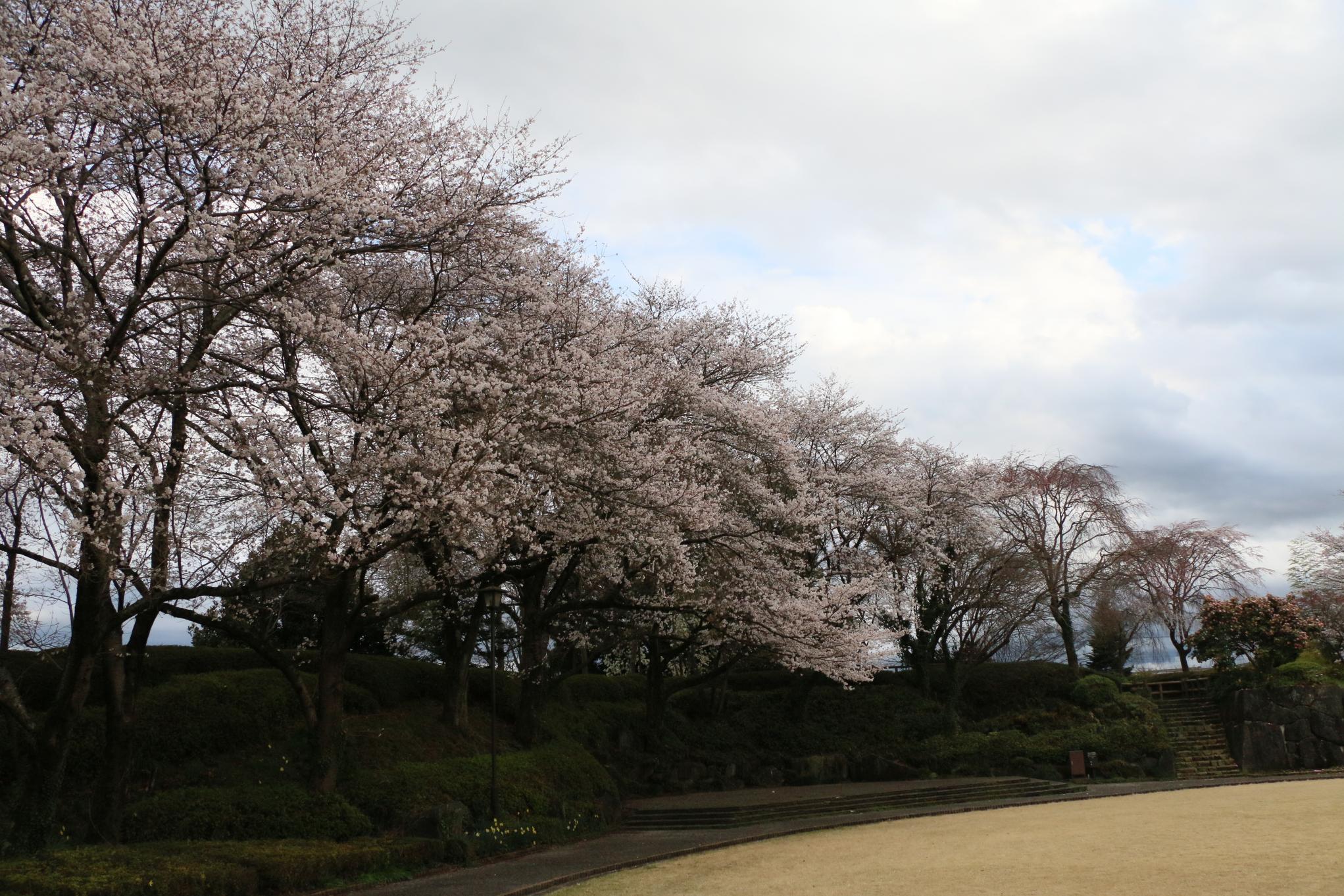 城址公園