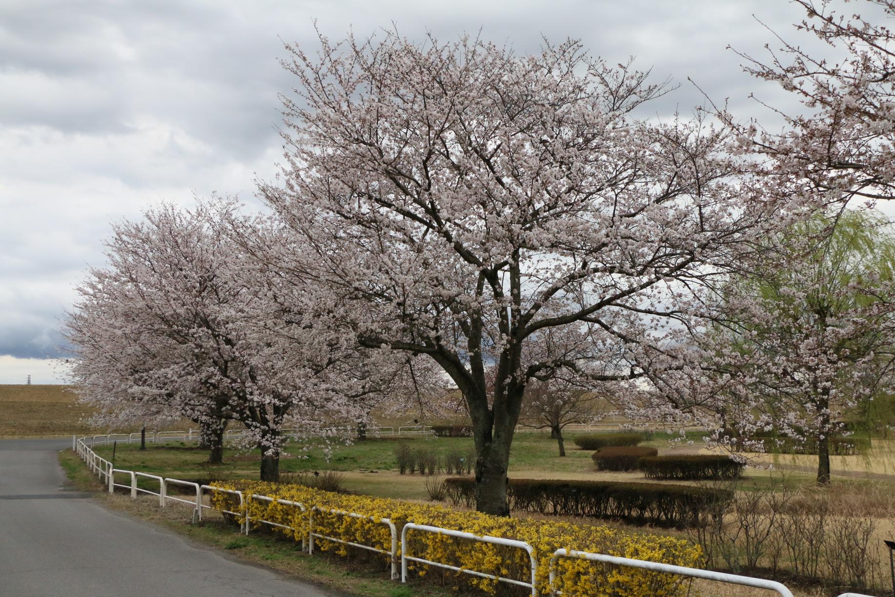 蓼沼親水公園