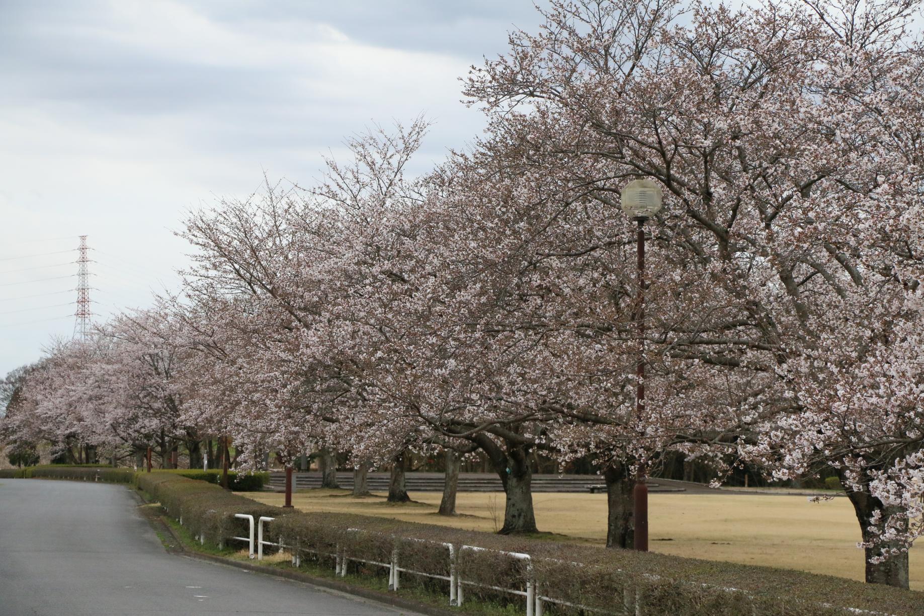 蓼沼親水公園 蓼沼親水公園