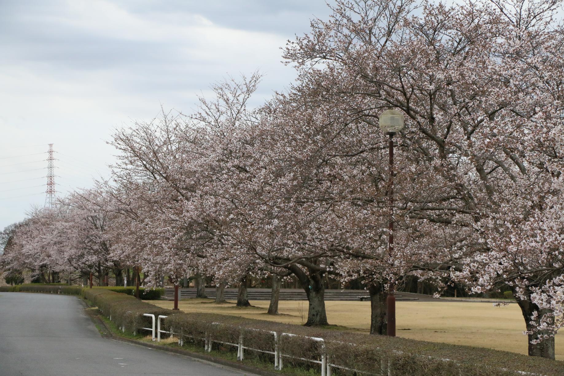 蓼沼親水公園