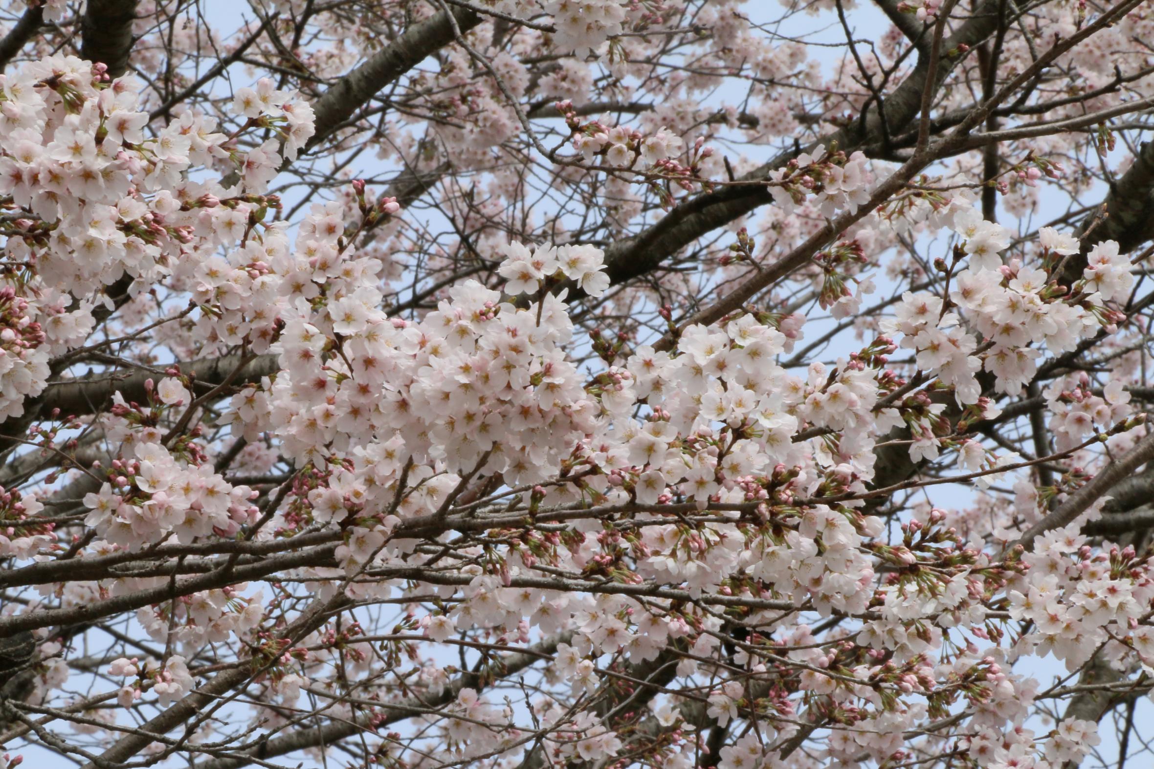 蓼沼親水公園