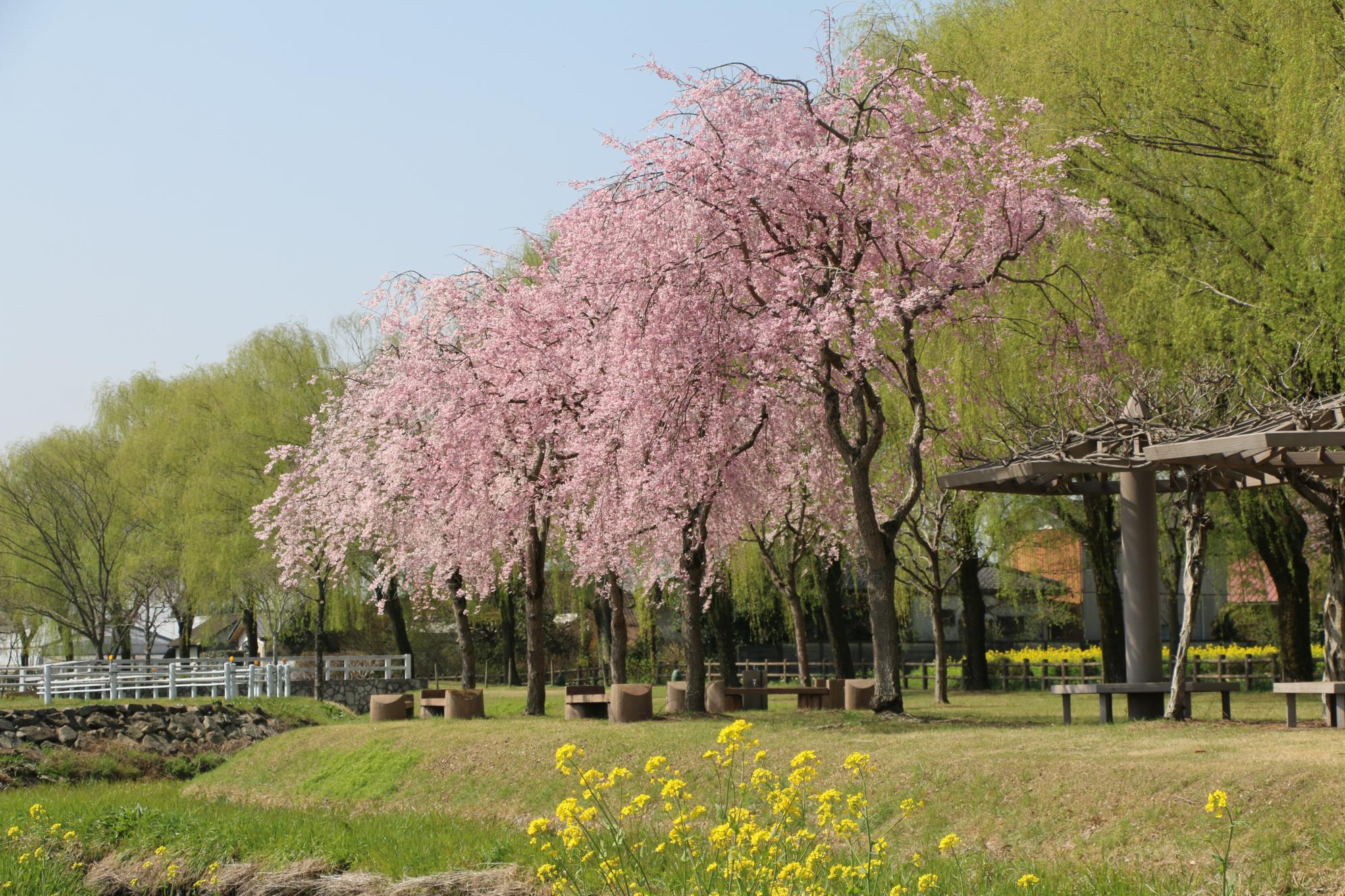 水環境神主公園