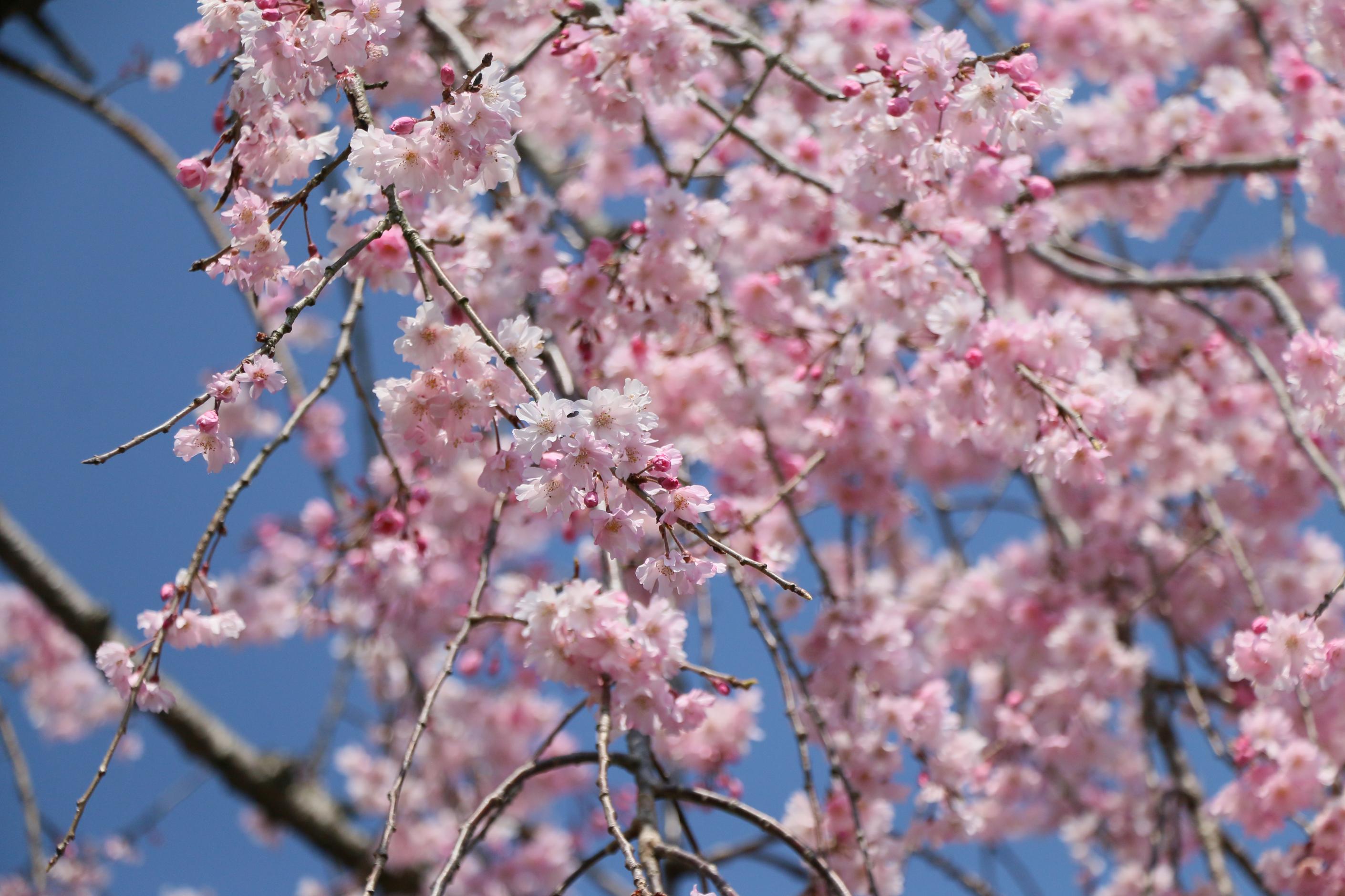 水環境神主公園