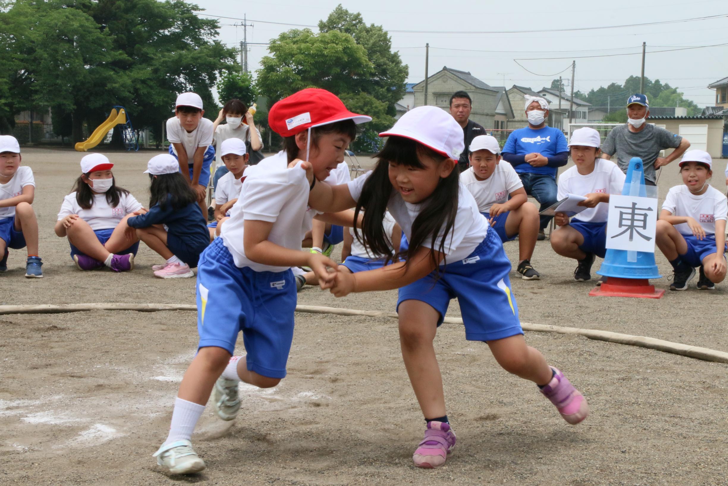 子供 相撲 