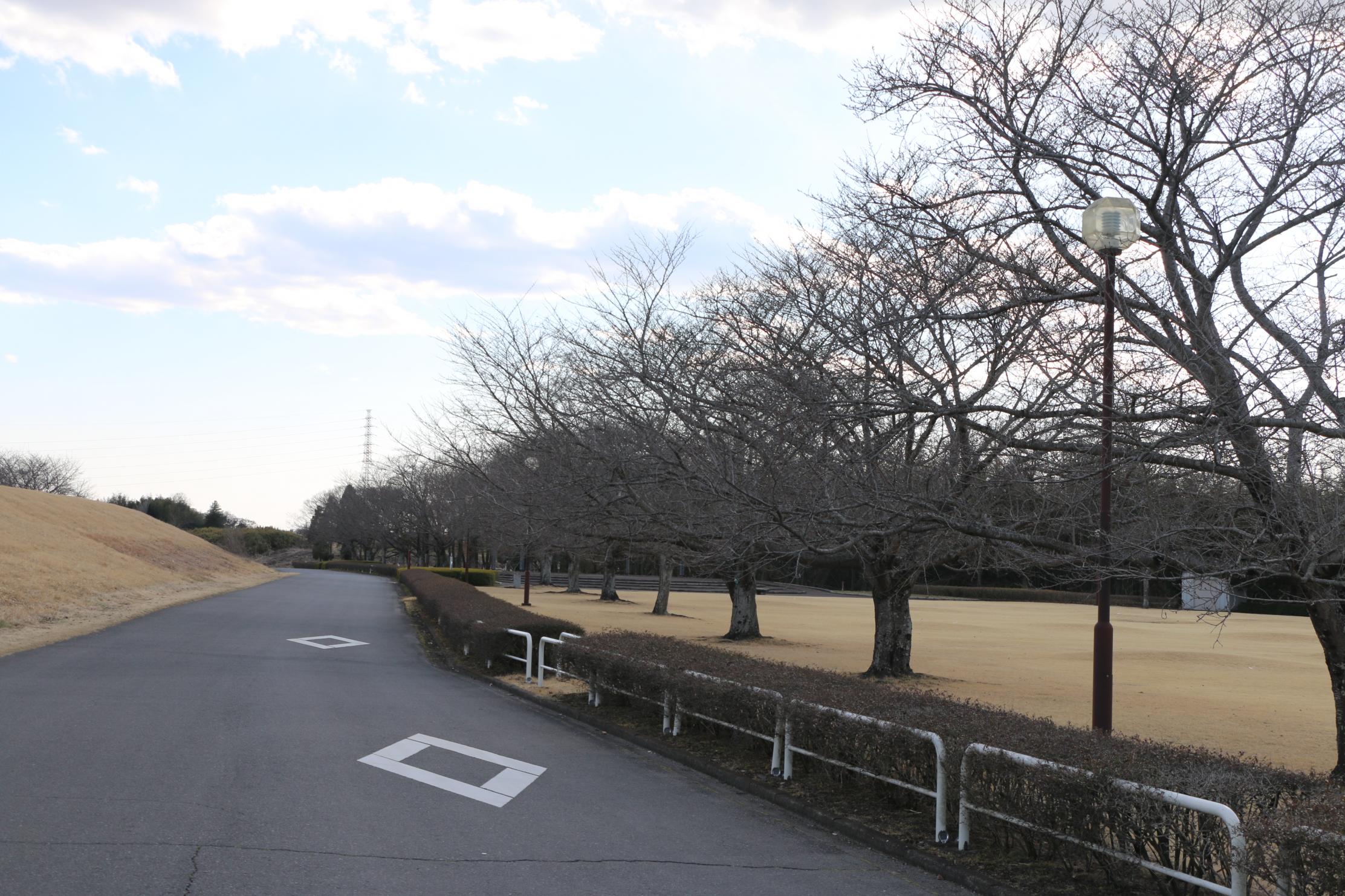 蓼沼親水公園