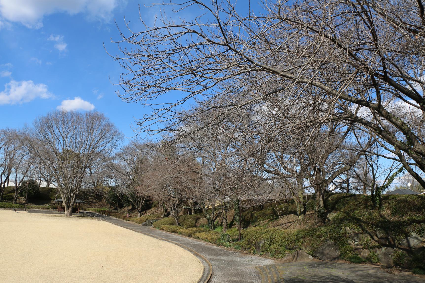 城址公園 城址公園