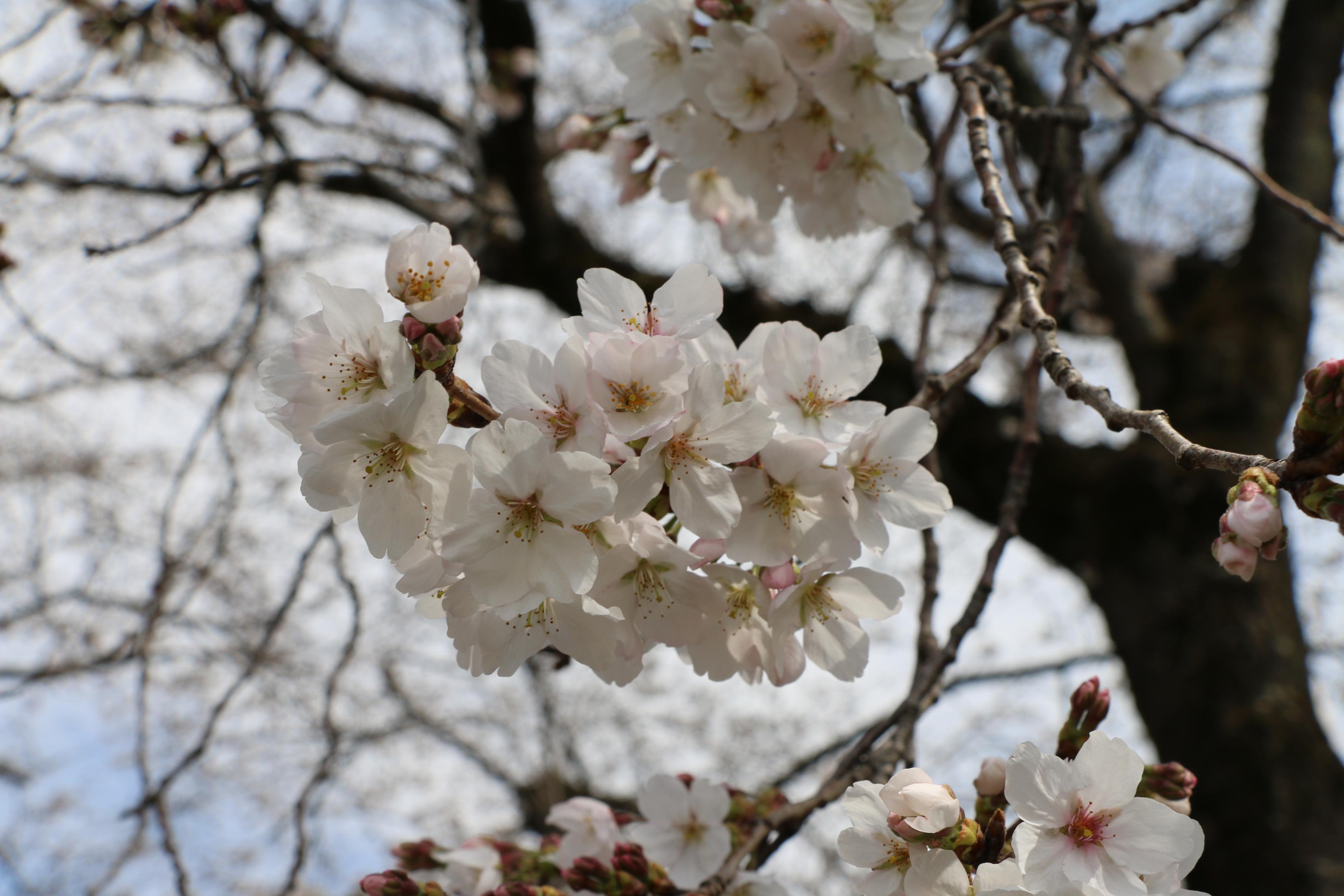 IMG_7305 IMG_7305