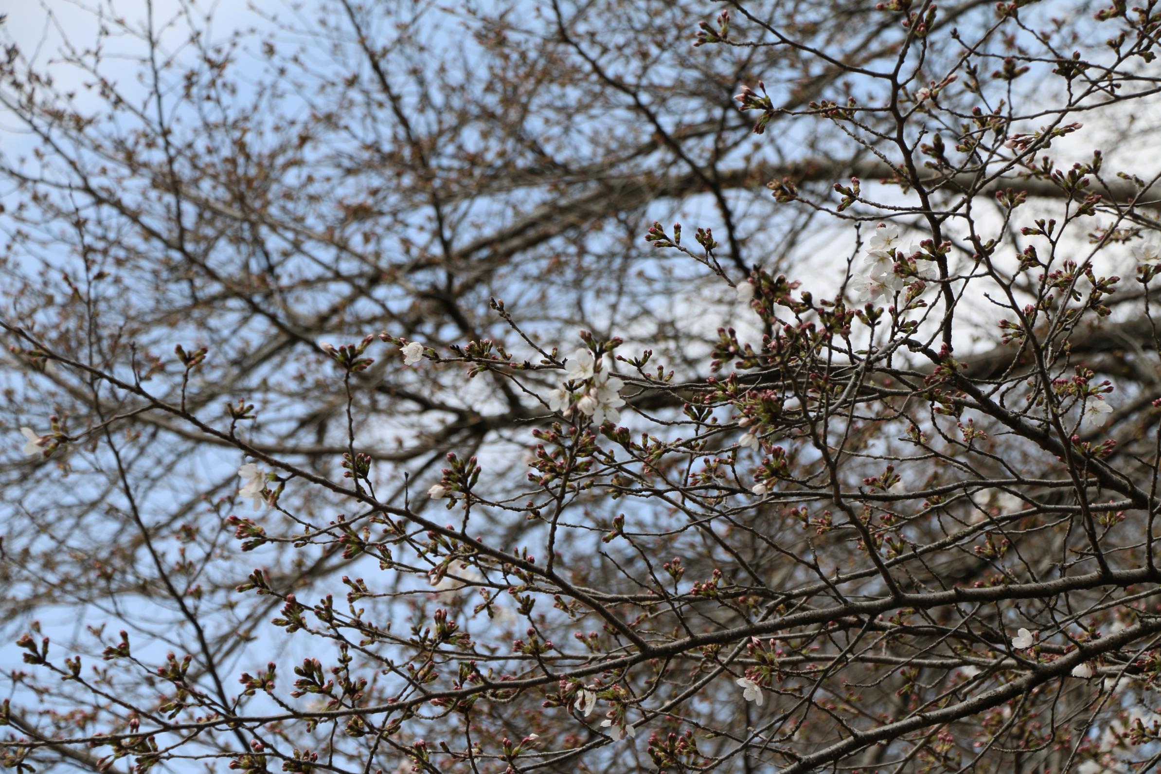 IMG_7292 IMG_7292