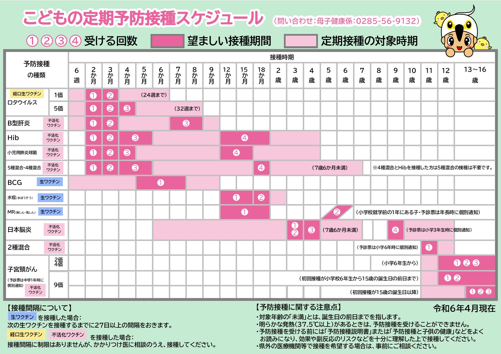 R6年度定期予防接種スケジュール