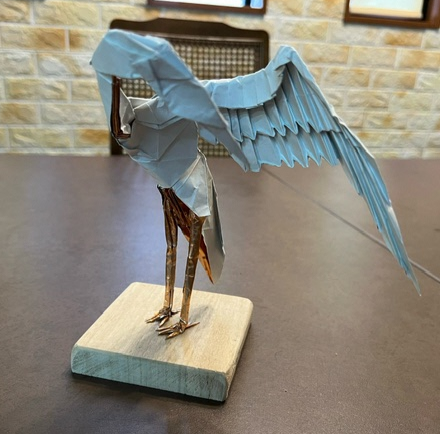 image4 image4