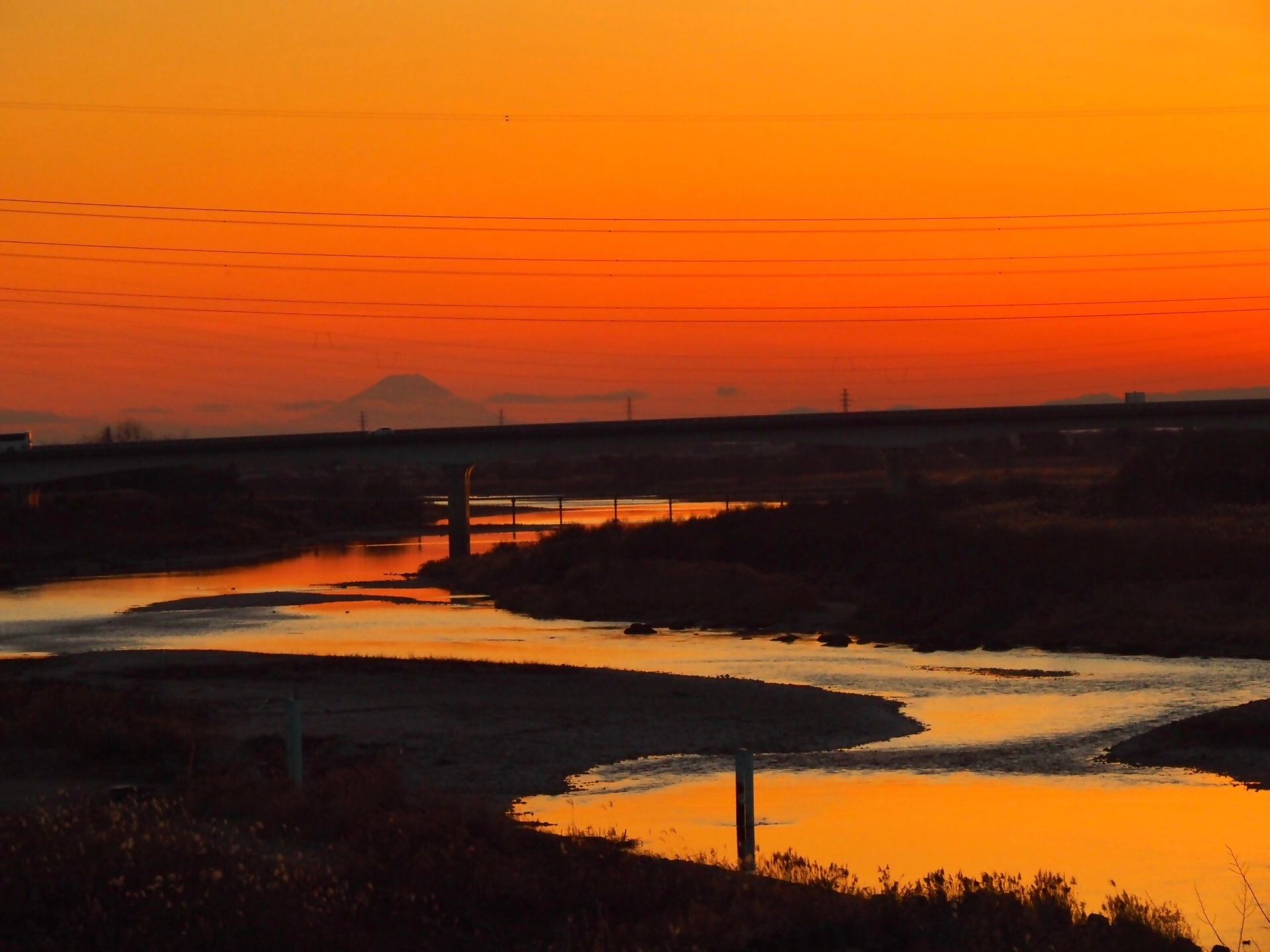 準大賞（秋山）50_1