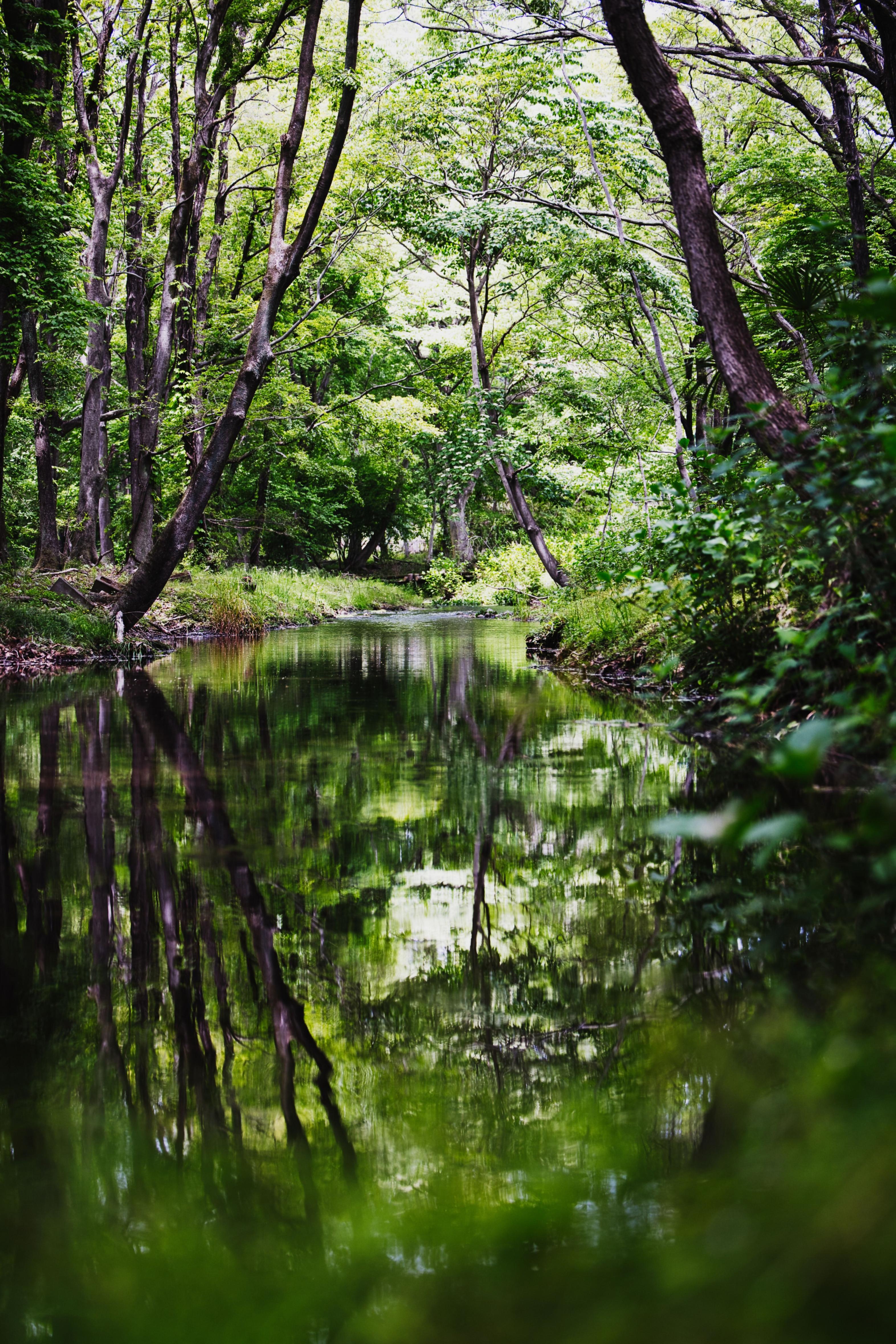 準大賞（m.i）6_2